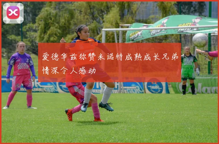 爱德华兹称赞米诺特成熟成长兄弟情深令人感动